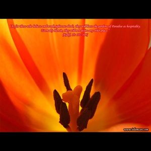 Meet your Posher, Grace